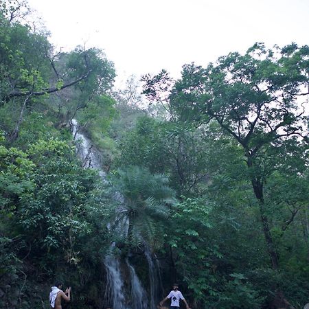 Perfect Stayz Premium Forest Valley Near Waterfall Rishikesh Luaran gambar