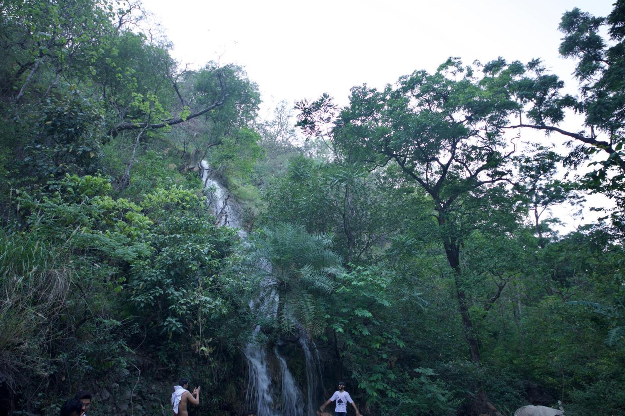 Perfect Stayz Premium Forest Valley Near Waterfall Rishikesh Luaran gambar