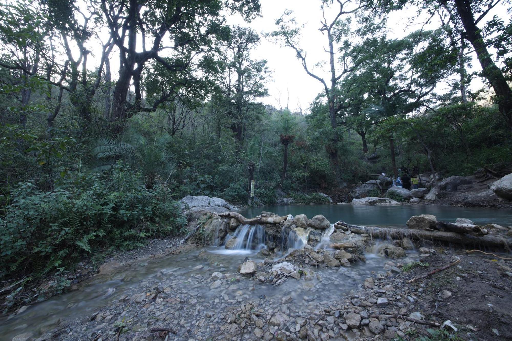Perfect Stayz Premium Forest Valley Near Waterfall Rishikesh Luaran gambar